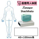 【シヤチハタ】医療用人体図 全身(女性背面) Xスタンパー 角型印 40100号 ( 印面サイズ:40×100mm ) 医療・病院・看護師・ナース・整体師 はんこ スタンプ