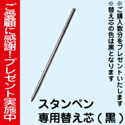 ネームペン タニエバー スタンペンGT【送料無料】(ネーム印＋訂正ネーム印＋黒ボールペンの一本三役ネームペン)( 訂正印 ナース 印鑑付きボールペン ハンコ ハンコ付きボールペン はんこ ハンコペン 看護師 印鑑ボールペン ペン 修正印 判子 印鑑ペン ナースグッズ )