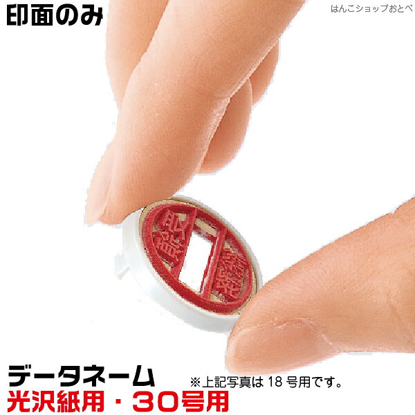 樂天商城 - 印面のみ シャチハタ データネーム 30号 光沢紙用 データーネーム 30号スタンド式 マスター部 専用 取り換え 交換 取替 付け替え 付替え