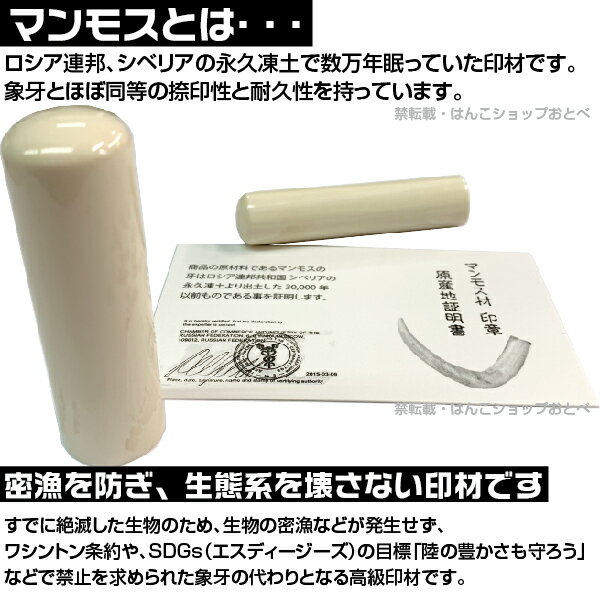 銀行印 マンモス 並上 印鑑ケース付 金融機関印 13.5mm 13.5ミリ | [送料無料] 高級 印材 象牙に代わる 氷の象牙 アイスアイボリー 永久凍土 赤ちゃん 印鑑 ハンコ おしゃれ はんこ セット 作成 オーダー 判子 子供 男の子 男性 女性 子ども 印鑑入れ ケース付 ケース付き