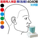 人体図 シャチハタ 医療用人体図 頭 右側 角型印 4040 医療 スタンプ | ［本州送料無料］カルテ 人体図 イラスト 用 スタンプ ゴム印 問診票 整体 病院 医院 整体院 検査 レントゲン スタンプ はんこ 印鑑 ハンコ 書類 先生 医者 40×40 浸透印 文具 事務用品