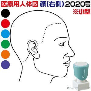 人体図 シャチハタ 医療用人体図 頭 右側 角型印 2020 医療 スタンプ |カルテ 人体図 イラスト 用 スタンプ ゴム印 問診票 整体 病院 医院 整体院 検査 レントゲン スタンプ はんこ 印鑑 ハンコ 書類 先生 医者 20×20 シヤチハタ シャチハタ印 浸透印 文具 事務用品