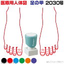 人体図 シャチハタ 医療用人体図 足の甲 角型印 2030 医療 スタンプ |カルテ 人体図 イラスト 用 スタンプ ゴム印 問診票 整体 病院 医院 整体院 ...