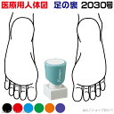 人体図 シャチハタ 医療用人体図 足の裏 角型印 2030 医療 スタンプ |カルテ 人体図 イラスト 用 スタンプ ゴム印 問診票 整体 病院 医院 整体院 ...