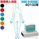 人体図 シャチハタ 医療用人体図 全身 女性背面 角型印 40100号 医療 スタンプ | ［本州送料無料］カルテ 人体図 イラスト 用 スタンプ ゴム印 問診票 整体 病院 医院 整体院 検査 レントゲン スタンプ はんこ 印鑑 ハンコ 書類 先生 医者 40×100 浸透印 文具 事務用品