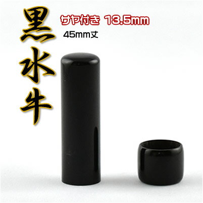 ydグz  45mm  i Mtgj l 񂩂 ͂ qI[_[ ӏؖ O nR ӃP[XZbg 13.5mm Tt+1000~ 