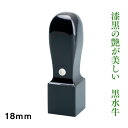 法人角印　黒水牛　18mm　ケース付き　法人角判