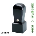 法人角印 黒水牛 24mm ケース付き 法人角判