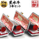 【限定クーポン配布中】 印鑑 はんこ 【ゆうメール発送】 個人印鑑 黒水牛 ケース付3本セット 「13.5 15.0 18.0」 実印 銀行印 認印に 印鑑セッ...