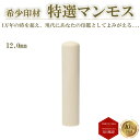 ＼ポイント最大20倍／ 個人印 認め印 認印 はんこ ハンコ 印鑑 あす楽対応 即日発送 送料無料 【マンモス 丸棒 12mm】