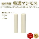 \今だけ最大15%off/ 個人印 認め印 12mm 銀行印 15mm 2本セット 高級 マンモス牙 即日発送 【マンモス 認印(12mm) 銀行印(15mm)...