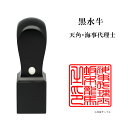 \今だけ最大5%off/ 士業用印鑑 海事代理士 角印 職印 資格印 先生印 黒水牛 天角 21mm はんこ ハンコ 印鑑 即日発送