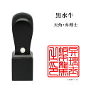 \今だけ最大5%off/ 士業用印鑑 弁理士 角印 職印 資格印 先生印 黒水牛 天角 24mm はんこ ハンコ 印鑑 即日発送