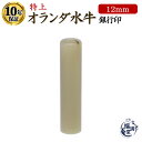 \今だけ最大15%off/ 印鑑 銀行印 即日発送 特上オランダ水牛 【12mm】 個人印鑑 はんこ ハンコ 判子 オランダ水牛 芯もち はんこ 判子 個人 個...