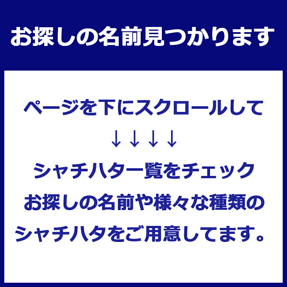 【西畑】 シャチハタ ブラック11 既製品 新古品 訂正印 認印 印鑑 置き配用はんこ 在庫処分品 【未使用・未開封】 2