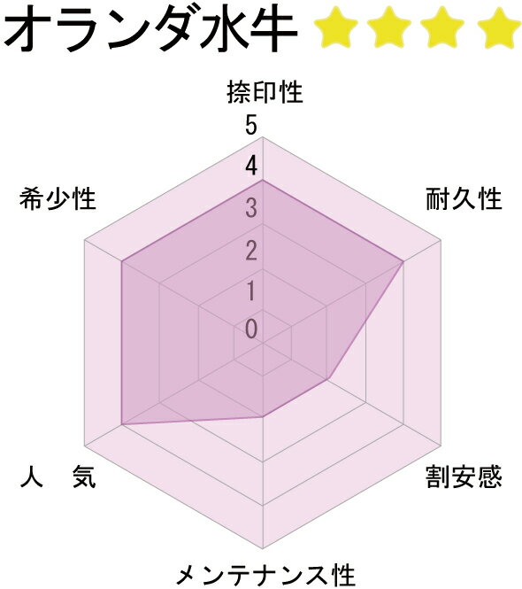 数量限定 セール 最大1000円offクーポン発行中 ポイント１０倍 送料無料 メール便発送 会社銀行印 会社設立 実印 はんこ 角印 はんこの一刻堂 店 オランダ水牛 最高級白水牛 16 5mm 法人