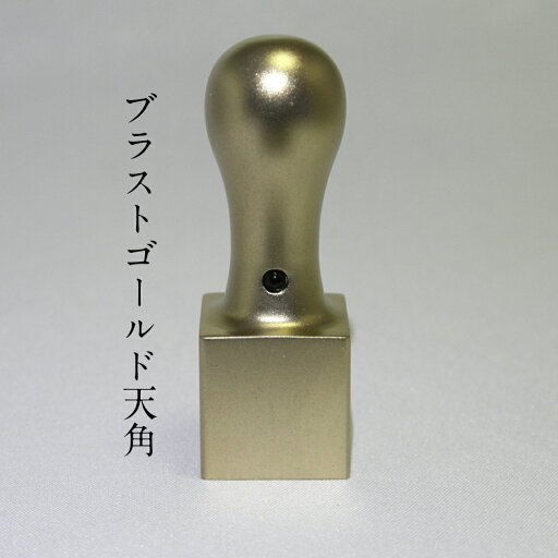 IPチタン角印 24.0mm 法人印鑑 会社実印 天角型 チタン印鑑 チタンはんこ ミラーチタン マットチタン 実印 銀行印 事務用品 レザーケース付き IPチタン角印 24.0mm 法人印鑑 会社実印 天角型 チタン印鑑 チタンはんこ ミラーチタン マットチタン 実印 銀行印 事務用品 レザーケース付き