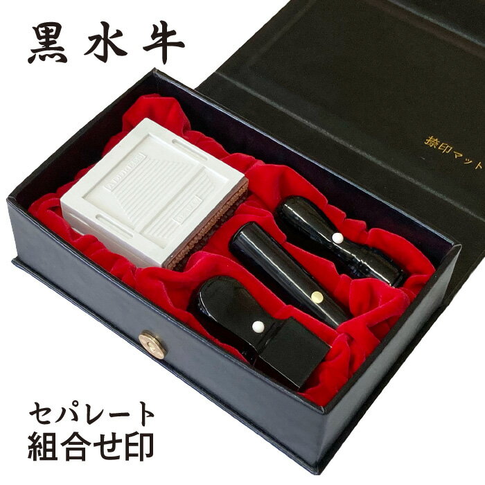 【全商品ポイント10倍！】柘　法人3本ゴム印収納ケースセット 代表者印18・銀行印18・角印21・組合せゴム印4段＋電子印角付き　住所印 法人印鑑 会社印 印鑑 はんこ 代表印 銀行印 角印 専用ケース付 送料無料 法人印 代表者印 会社 会社設立 印鑑セット 会社印鑑 登記