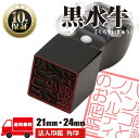 【店内全商品ポイント10倍】法人印鑑 法人印 はんこ 【角印24mm 黒水牛】 会社設立 会社印 専用ケース付 印章 送料無料 法人用 会社 印鑑セット 法人 印鑑 会社印 法人印 代表者印 いんかん 仕事 会社印鑑 登記 同梱OK ポイント消化