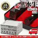 【ゴム印10％off】【サイズが選べる】法人印鑑セット 2本 【ゴム印付】 法人印 はんこ 【代表印18mm（天丸） 角印24mm 黒水牛】 会社設立 会社印 専用ケース付 印章 送料無料 法人用 印鑑セット 会社印 法人印鑑 代表者印