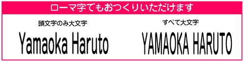 おむつ 専用 お名前スタンプ★ オムツ にピッタリ使いやすい、20×80ミリの お名前はんこ 『おなまえ〜る特大』(20×80ミリ）【ご奉仕品】[メール便]