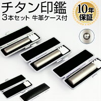 印鑑・はんこ チタン シルバーブラストチタン印鑑3本セット ステンレス球付 ブラックもみ革印鑑ケース付実印・銀行印・認印個人印鑑 ハンコ 仕事 就職祝い ギフト 印鑑セット 送料無料