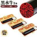 【10%OFFクーポン配布中】 印鑑・はんこ 実印 黒水牛印鑑3本セット 【13.5/13.5/13.5mm】 高級本トカゲ革印鑑ケース(金枠)付 個人印鑑 ハ...