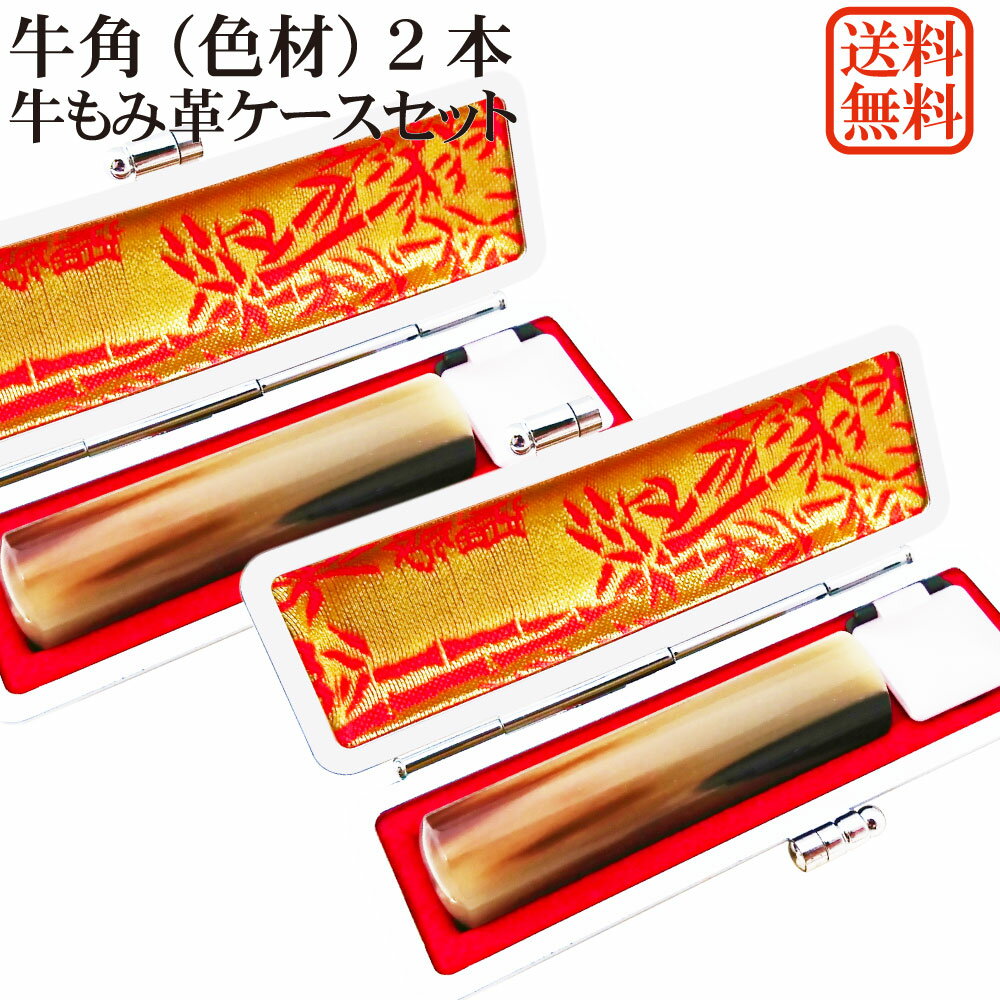 印鑑 2本 セット オランダ水牛 色材 個人用印鑑 実印・銀行印セット 牛もみ革ケース付き 芯持ち 牛角 色 はんこ ケース付セット アタリ 印鑑ケース 朱肉付...