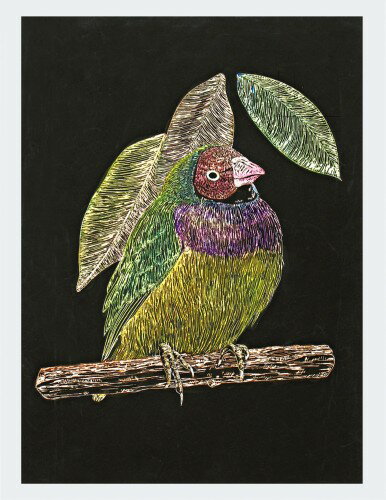 アーテック スクラッチボードEX スクレーパー [artec 学校教材 美術教材 学校文具 学校用品 文房具 文..