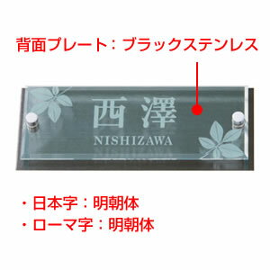 送料無料◆表札/AVY-3/アヴァンスシリーズ/サイズ：200X80X16mm[表札/ひょうさつ/ネームプレート/丸三タカギ/アクリル/ステンレス/戸建て/マンション/アパート/プレート/おしゃれ]