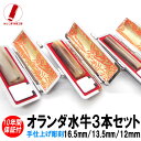 【ポイント10倍】印鑑 実印 ハンコ 作成 即日発送 銀行印 認印 芯持 オランダ水牛3本セット 16.5mm/13.5mm/12mm ケース付 印鑑セット 実印 女性 男性 子供 プレゼント お祝い ギフト 結婚 成人 就職 入社 出産 祝い 夫婦 いんかん 送料無料 判子