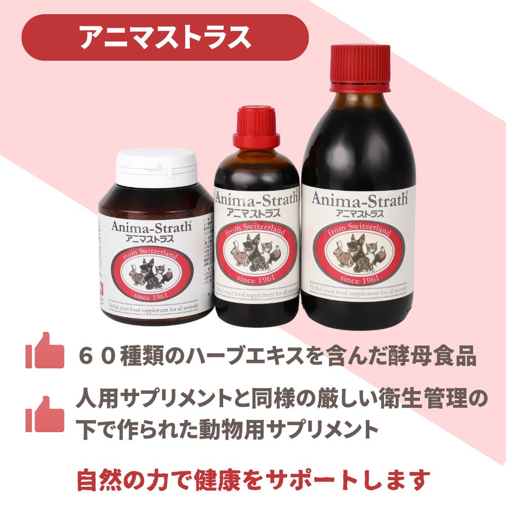 アニマストラス 250ml 動物用サプリメント 翌日出荷 | 天然素材 自然食品 天然酵母 皮膚 被毛 胃腸 腸内環境 犬 いぬ 猫 ねこ 栄養補助 免疫力 小型犬 中型犬 大型犬 成犬 シニア 老犬 健康 hankyu-hellodog-10000450 阪急ハロードッグ サンプル画像2