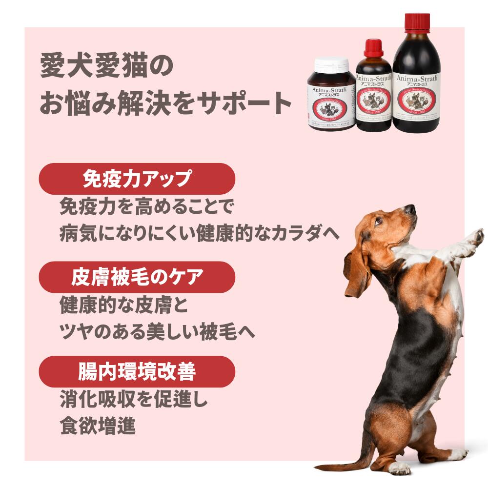 アニマストラス 250ml 動物用サプリメント 翌日出荷 | 天然素材 自然食品 天然酵母 皮膚 被毛 胃腸 腸内環境 犬 いぬ 猫 ねこ 栄養補助 免疫力 小型犬 中型犬 大型犬 成犬 シニア 老犬 健康 hankyu-hellodog-10000450 阪急ハロードッグ サンプル画像3
