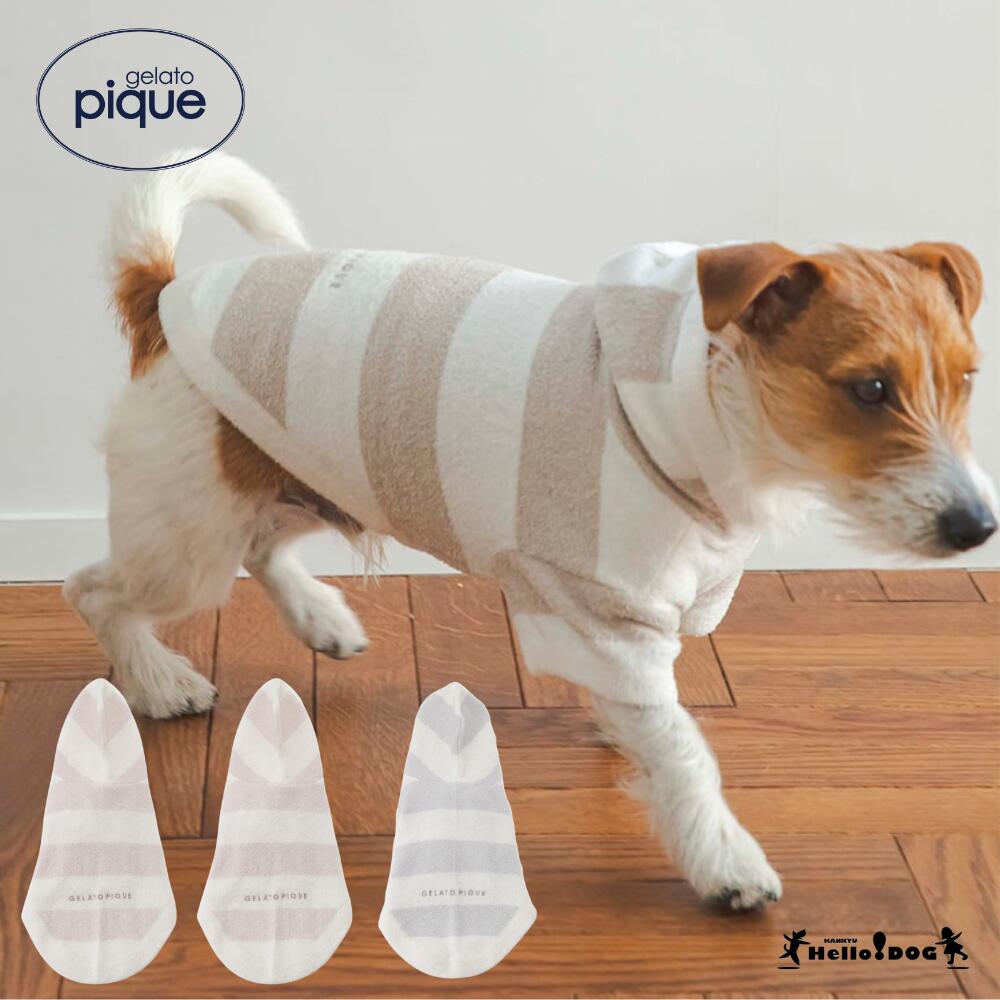 ジェラートピケ gelato pique スムーズィー2ボーダーdogパーカ 【翌日発送】阪急ハロードッグ ジェラピ..