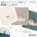 【 ハロードッグ 】 今治タオルハンカチ ペルシャ 全3色 刺繍 オーガニックコットン シルク ケミカルフリー グッズ メンズ レディース タオル ハンドタオル プレゼント ギフト 犬 猫 犬柄 猫柄 うちのこ