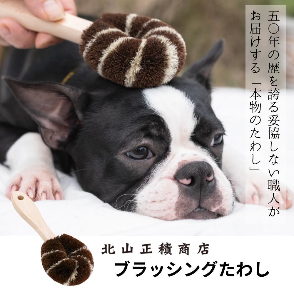 【北山正積商店】 ブラッシングたわし A ブラッシング 翌日出荷 グルーミング シャンプー 犬 いぬ 犬用 ペット ペット用品 お手入れ ケア 小型犬 中型犬 大型犬