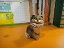 ソマリアキャット お母さん 84A陶器 置物 動物 ネコ 猫 子猫 ねこ キャット cat ペット インテリア オブジェ 雑貨 おしゃれ かわいい 贈り物 プレゼント ウルグアイ 2,200円