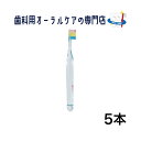 ■商品説明 乳歯列期の小児用歯ブラシタイニーのフォーレッスン仕様。 ハンドル部には全てかわいい4種のキャラクター柄になっています。 カラー：クリアー ■分類 歯ブラシ ■本数 5本 商品詳細 広告文責 日本バイオロジック有限会社 連絡先電話番号：0742-45-8789 メーカー名 株式会社ジーシー 原産国 日本