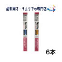 エビス プロフィッツ BKー10 ワンタフト歯ブラシ 6本セット