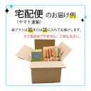 アルコール含浸ウェットワイパー ポイポイ 【120枚入】 ウェットシート ウェットティッシュ ウェットクロス P.D.R. （ピーディーアール） エタノール55％配合 3