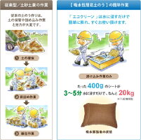 【あす楽・即納可】【台風水害対策に!】吸水土のうエコクリーンT-20【20枚入り】(淡水土がいらない水を吸う軽い楽に運べる5年保証再利用可持ち手付台風災害水害梅雨ゲリラ豪雨対策送料無料安い売れてます!)