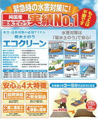【あす楽・即納可】【台風水害対策に!】吸水土のうエコクリーンT-20【20枚入り】(淡水土がいらない水を吸う軽い楽に運べる5年保証再利用可持ち手付台風災害水害梅雨ゲリラ豪雨対策送料無料安い売れてます!)