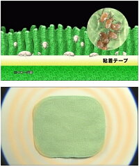【あす楽】ダニ一発【バラ1枚〜】シートタイプ布団ベビーベッドカーペットぜんそくアトピーアレルギーダニシート赤ちゃんペットダニ予防ダニ退治ダニ捕りシートダニ捕りマット置くだけ安心