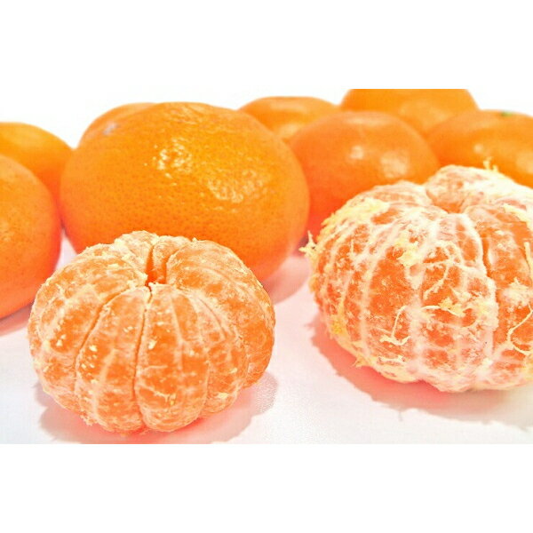 愛媛 清家さん みかん箱 約5kg【全国送料無料】 冬ギフト メーカー直送品（ナナ）