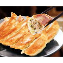 父の日 「宇都宮餃子館」健太餃子 (商品番号:91022)