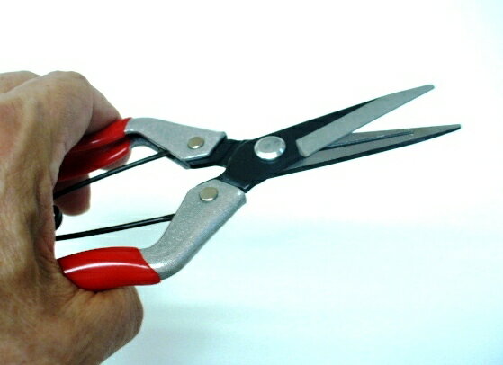 [送料込]メール便発送■芽切、菜果用園芸鋏　先細刃　GF-D180K