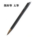 書道 筆 大筆 熊野筆 太筆 F1311 優美 コリンスキー 腰が強くやや固め 習字 習字筆 おすすめ 書道用品 半紙屋e-shop(3)