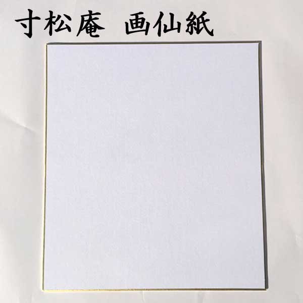 色紙 寸松庵色紙 画仙紙 5枚セット BE13 書道 色紙 習字 書道用紙 書道用品 半紙屋e-shop