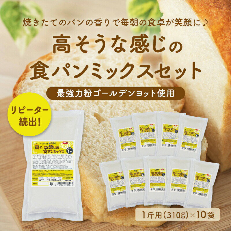 送料無料 高そうな感じの食パンミックスセット【10個】 半鐘屋オリジナル・HB用・ホームベーカリー 