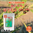 はとむぎ博士 強力活性 はとむぎテンペ(10g×30袋入り)(ハトムギ・鳩麦・ヨクイニン)